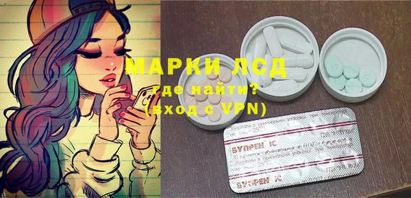 индика Абаза
