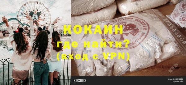 индика Абаза