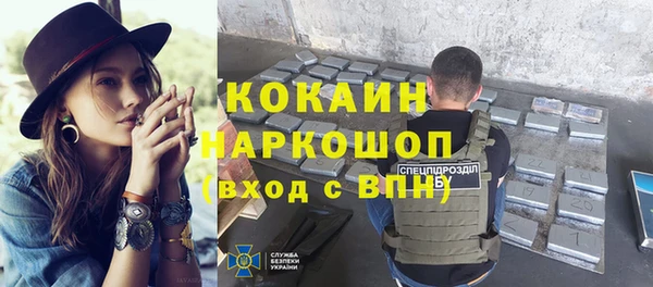 индика Абаза