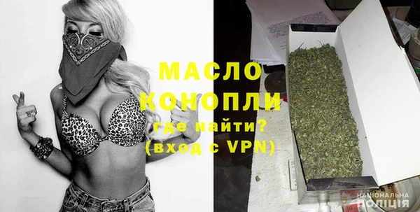 индика Абаза