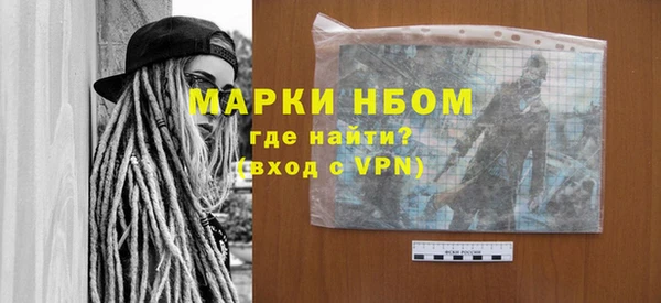 индика Абаза