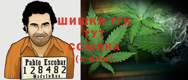 индика Абаза