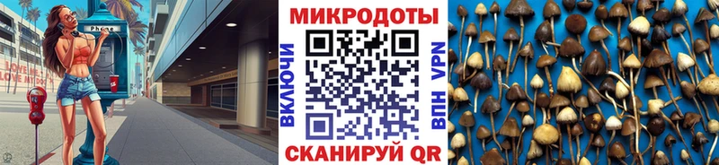 Галлюциногенные грибы мицелий  что такое   Стерлитамак 